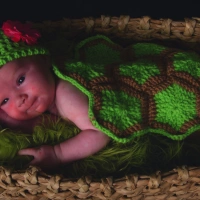 Infant Turtle Shell "Blanket"